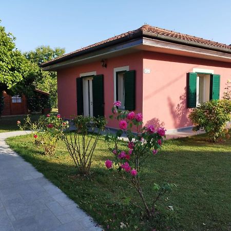 La Casina Villa Barga Dış mekan fotoğraf