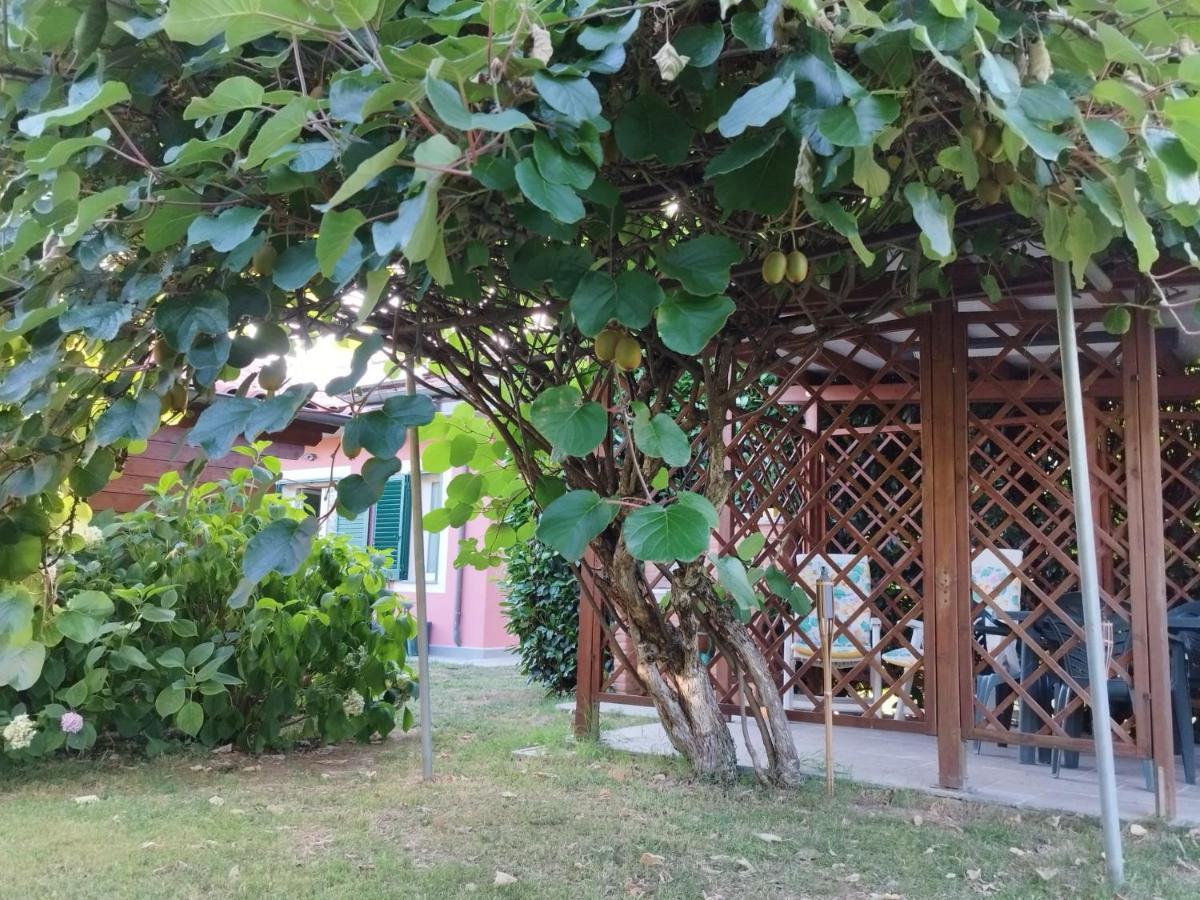 La Casina Villa Barga Dış mekan fotoğraf