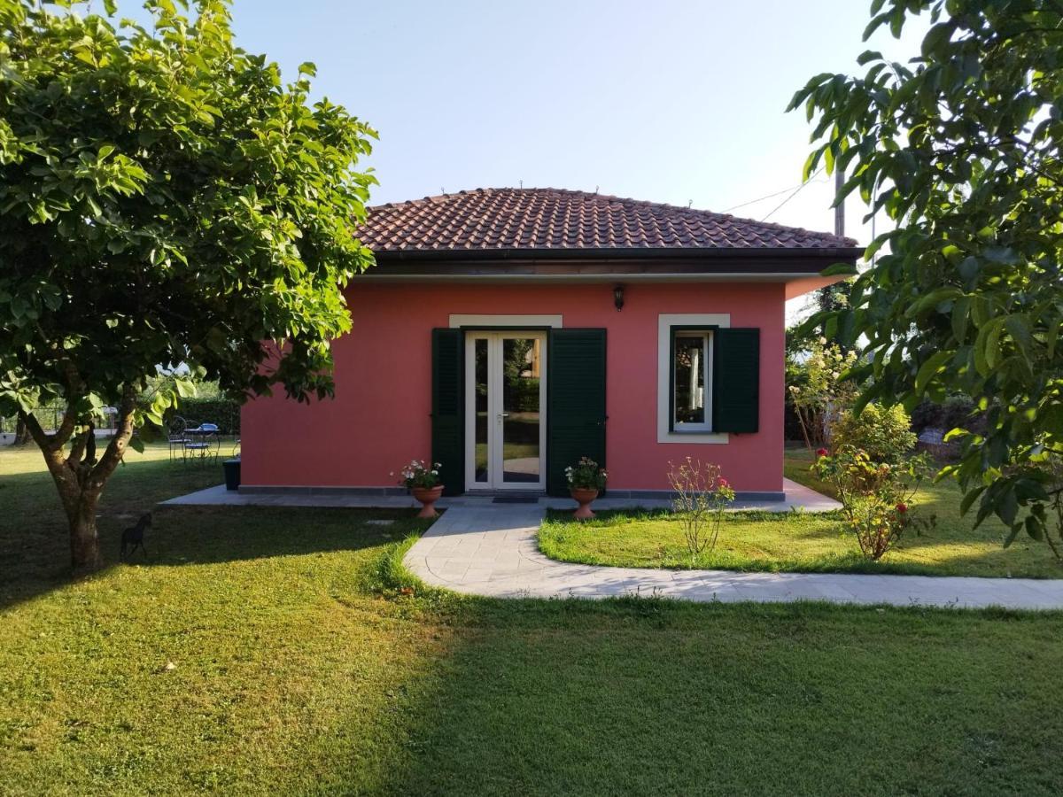 La Casina Villa Barga Dış mekan fotoğraf