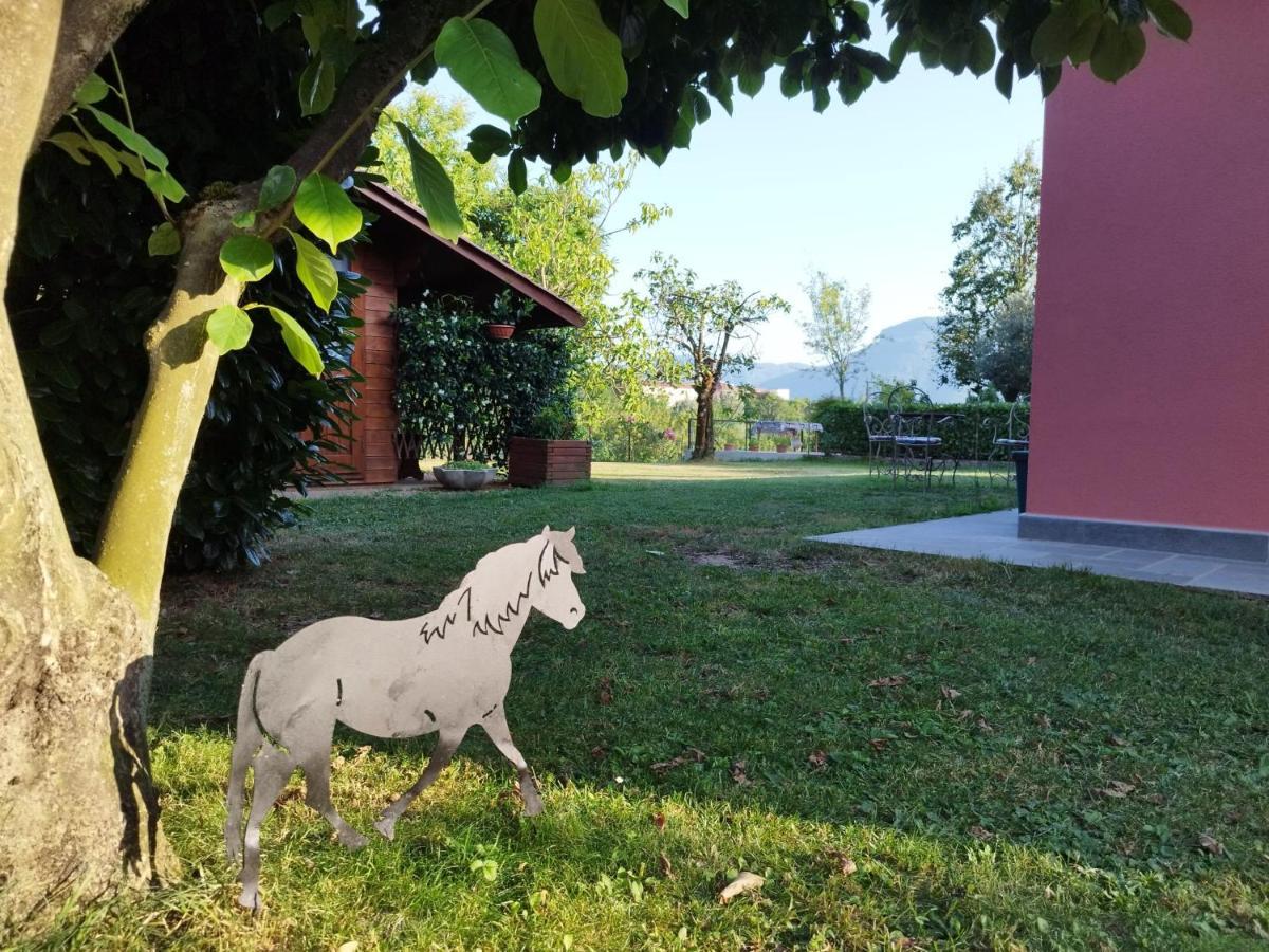 La Casina Villa Barga Dış mekan fotoğraf