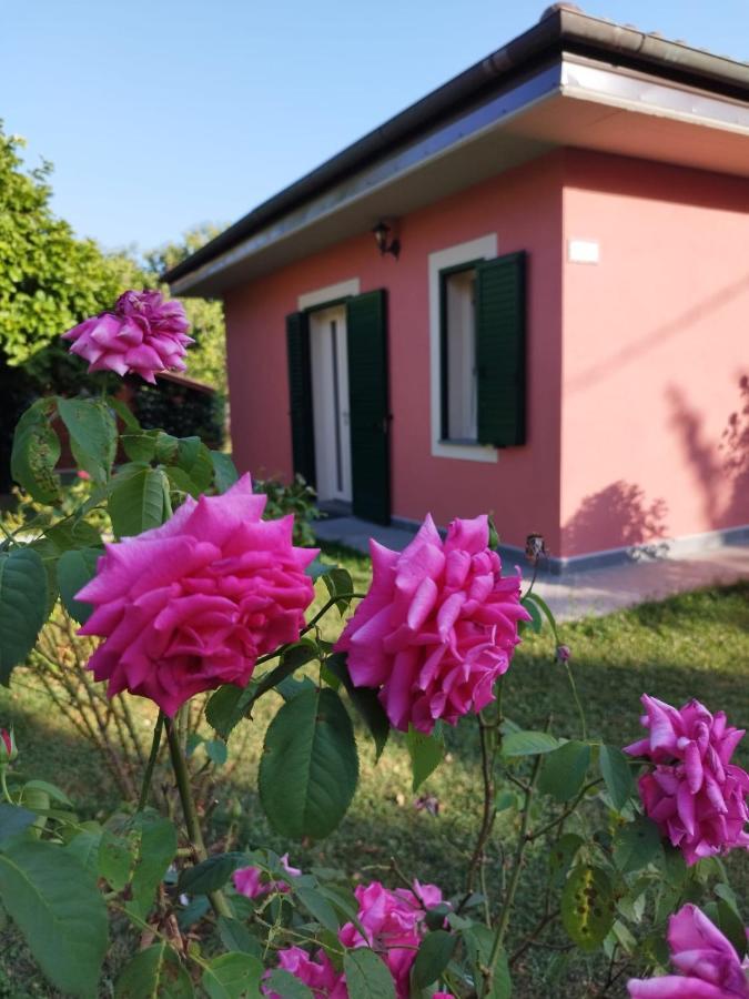 La Casina Villa Barga Dış mekan fotoğraf